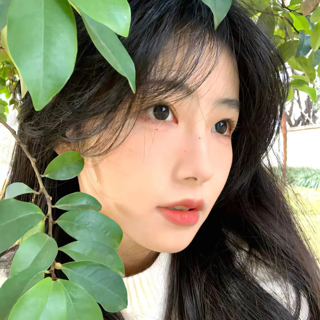 百合与直觉